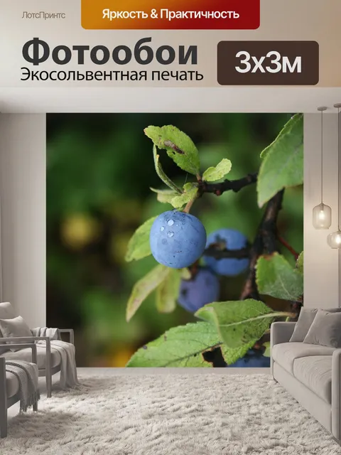 Фотообои Берри