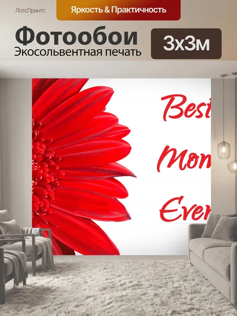 Фотообои Красный цветок герберы ромашки