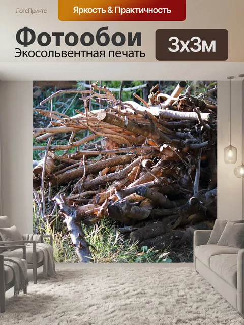 Фотообои солнечный свет на куче срезанных веток