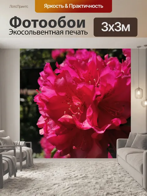 Фотообои Цветок