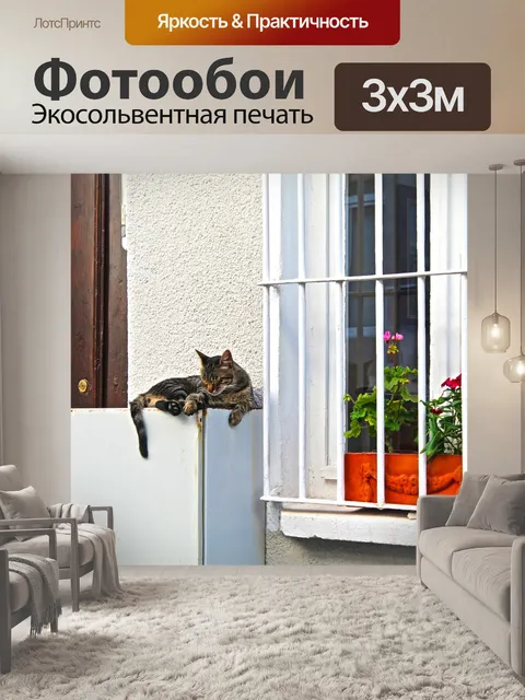 Фотообои Кошка