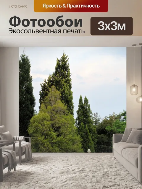 Фотообои зеленые деревья оттенка