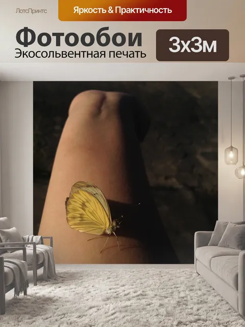 Фотообои Бабочка