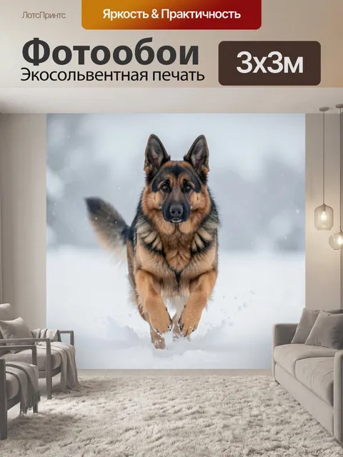Фотообои Немецкая овчарка в снегу