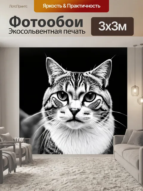 Фотообои животные в стиле черно-белый: старый кот с умным выражением