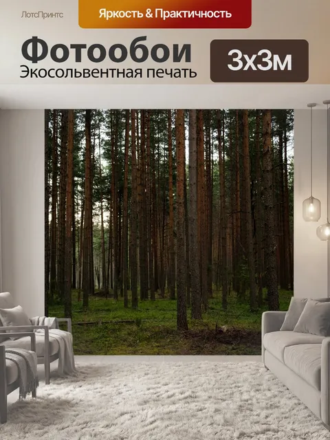 Фотообои Лес