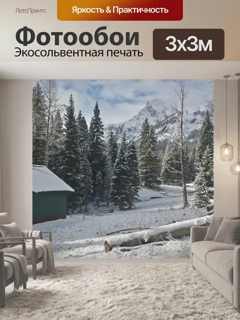 Фотообои Зима