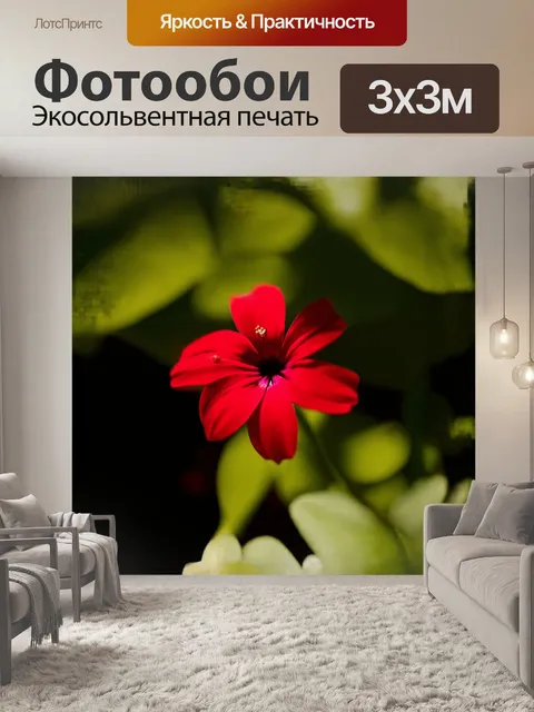 Фотообои яркий, сплошной цветок, насыщенного красного цвета, распускается на фоне с зеленым, мягко размытым листьем