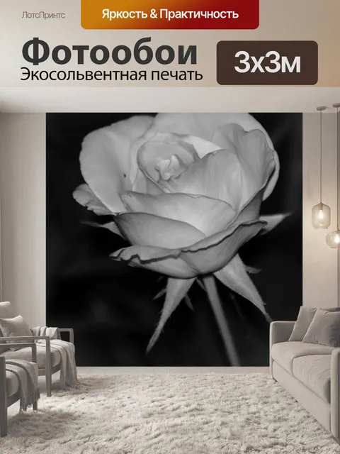 Фотообои Роза - оттенки серого