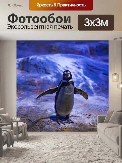 Фотообои Пингвин