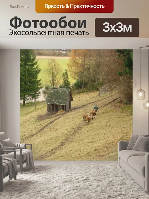 Фотообои Луг