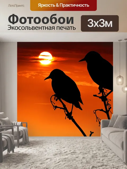 Фотообои Заход солнца