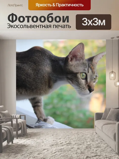 Фотообои Кошачий