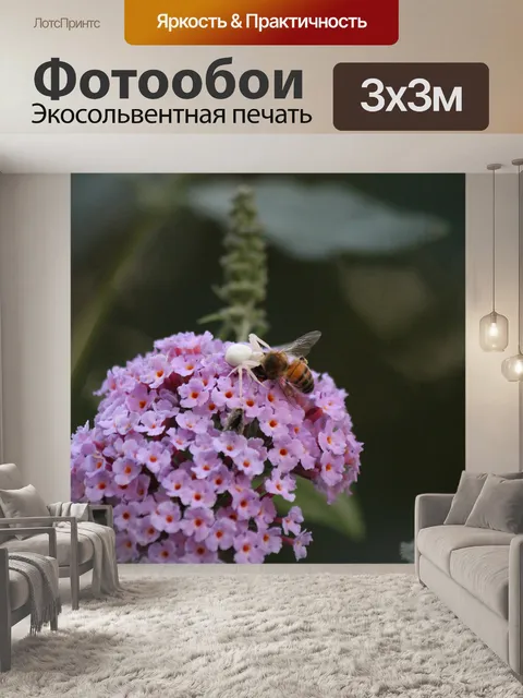 Фотообои Пчела