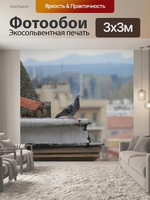 Фотообои Голубь