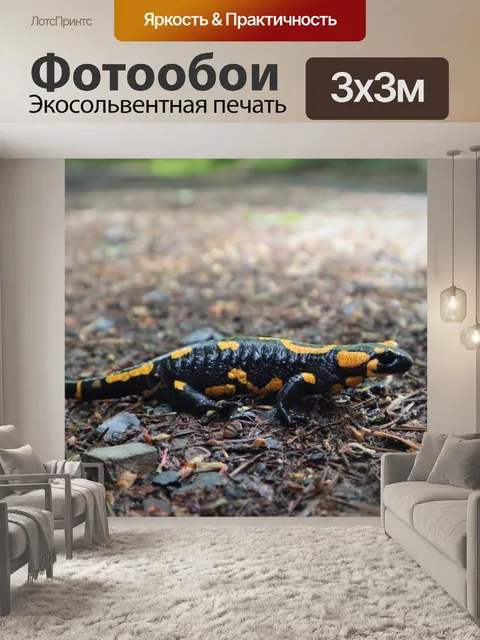 Фотообои Огненная саламандра