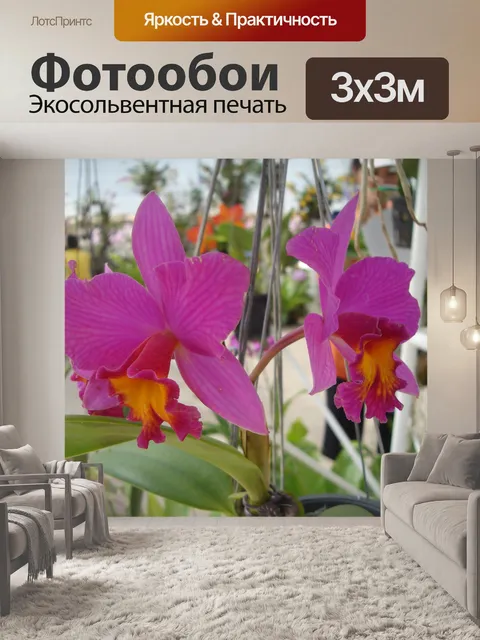 Фотообои Розовая орхидея