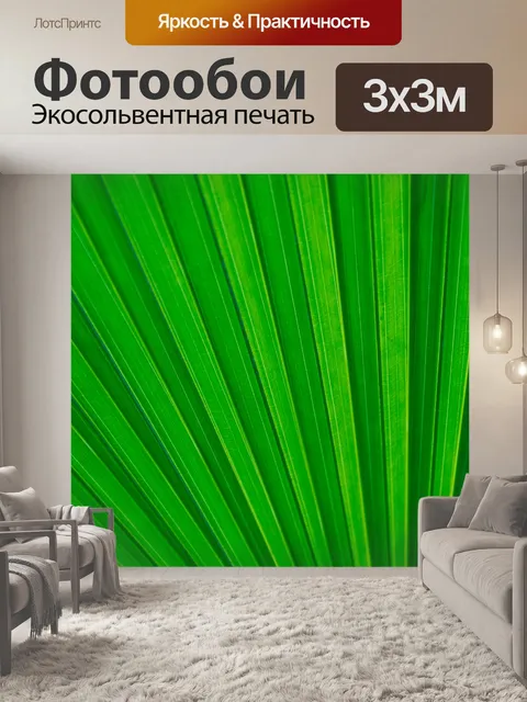 Фотообои Деталь листьев пальмы