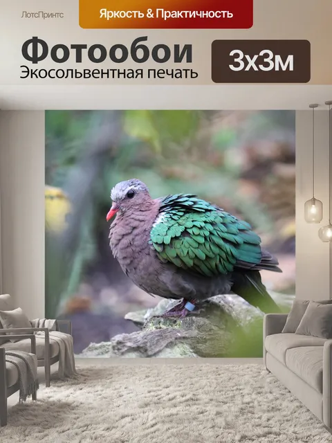 Фотообои Розовый возглавлял фруктовый голубь