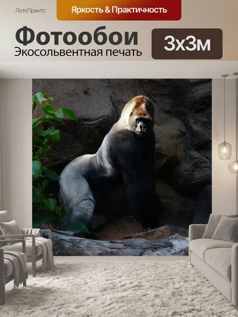 Фотообои Горилла