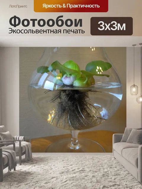 Фотообои Эйхорния