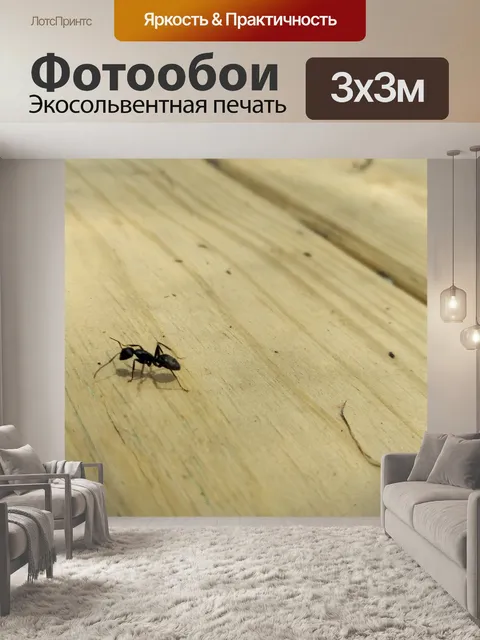 Фотообои Муравей