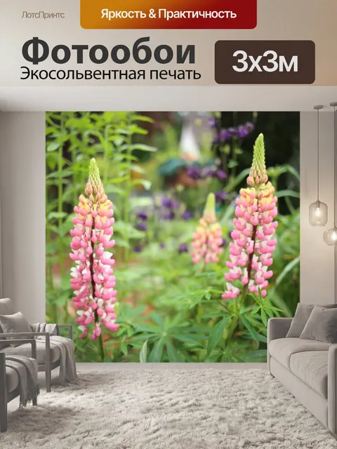 Фотообои Люпин