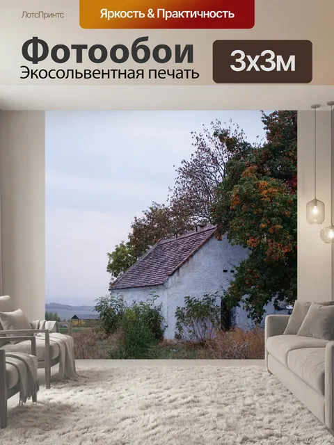 Фотообои Дом