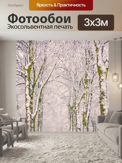 Фотообои Снежный парк