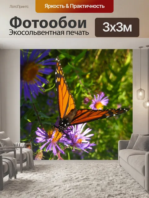 Фотообои Монарх butterfly