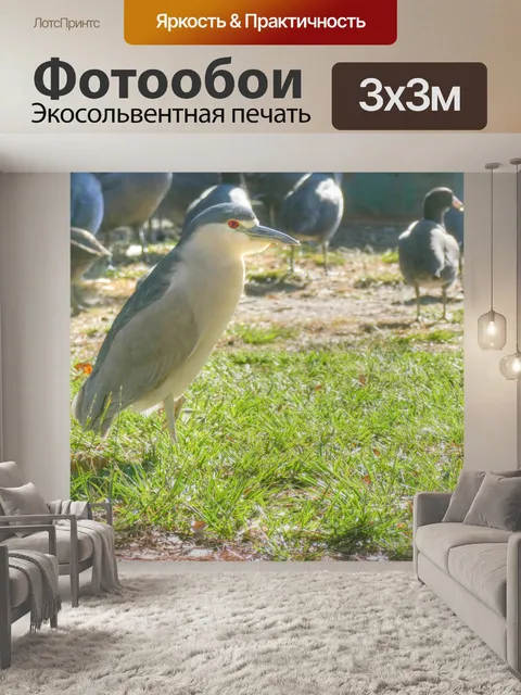 Фотообои ночь Херон