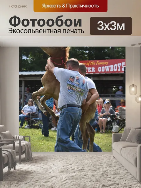 Фотообои Пони