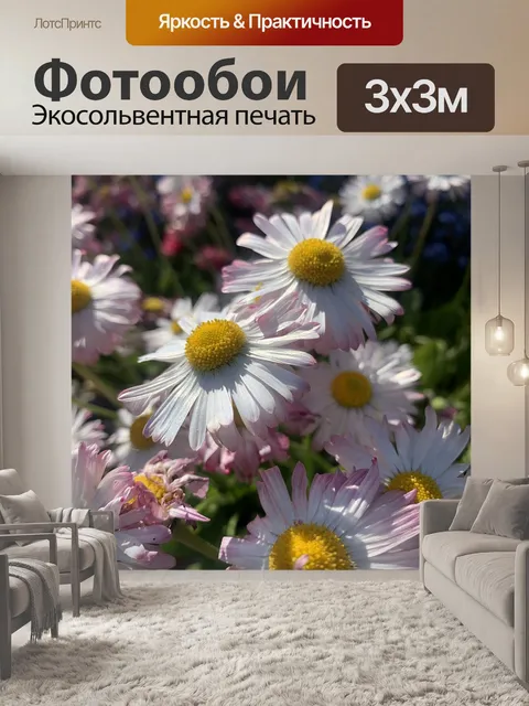 Фотообои Ромашка