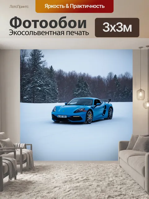 Фотообои спортивный автомобиль, проезжающий мимо замерзшего озера с снежными берегами