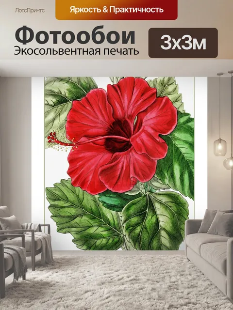 Фотообои Винтажный плакат цветок гибискуса