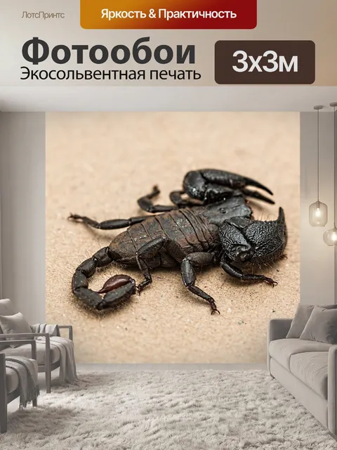 Фотообои Скорпион
