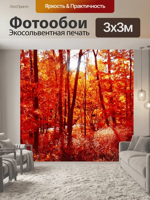Фотообои Осенью листья леса