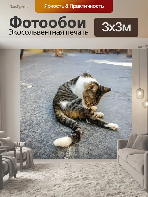 Фотообои Сама по себе чистка кота