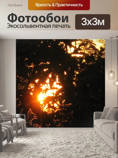Фотообои славной заката