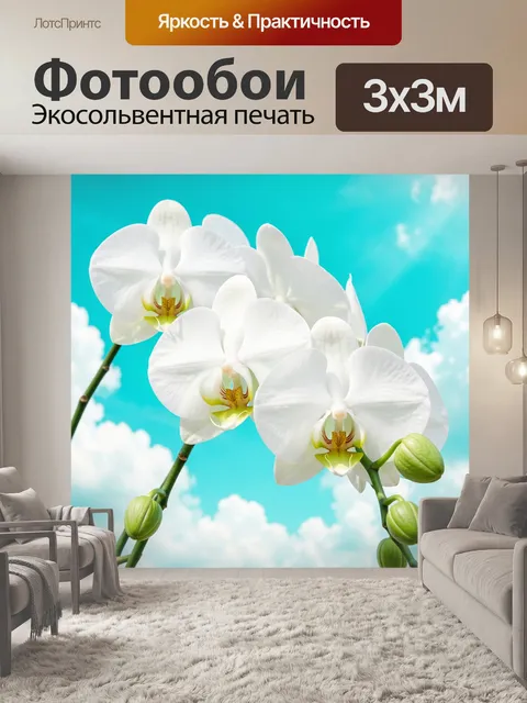 Фотообои Белые орхидеи на фоне неба