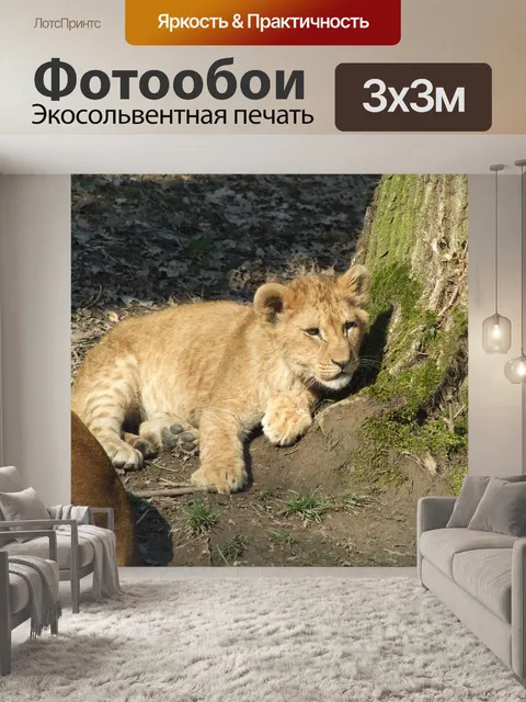 Фотообои Детеныш