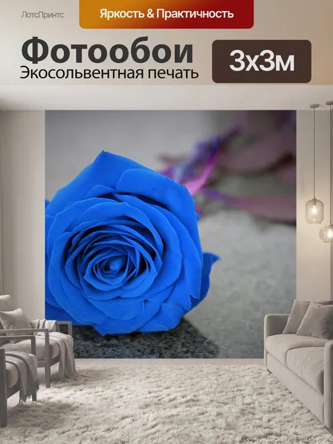 Фотообои Голубая роза на могиле