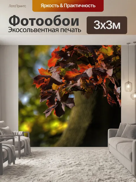 Фотообои Осень
