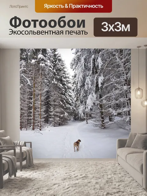 Фотообои Мопс