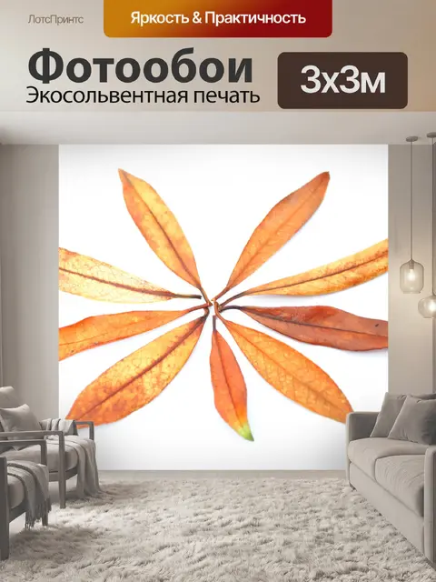 Фотообои Сухие листья