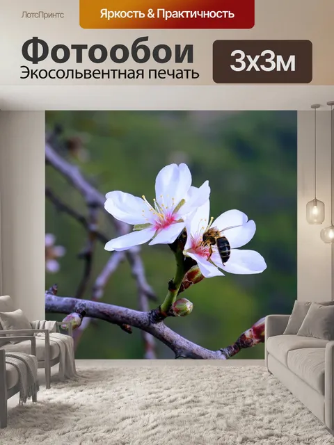 Фотообои Цветы миндаля