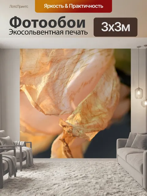 Фотообои Роуз