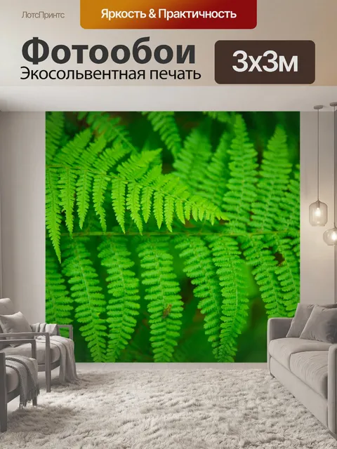 Фотообои папоротник