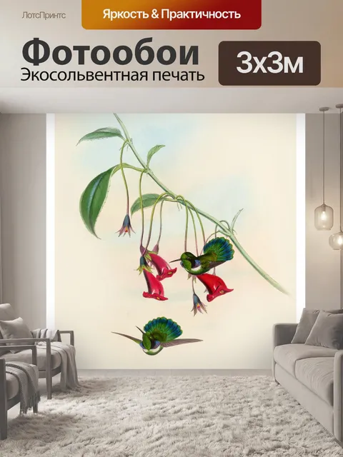 Фотообои Колибри птица винтаж старый