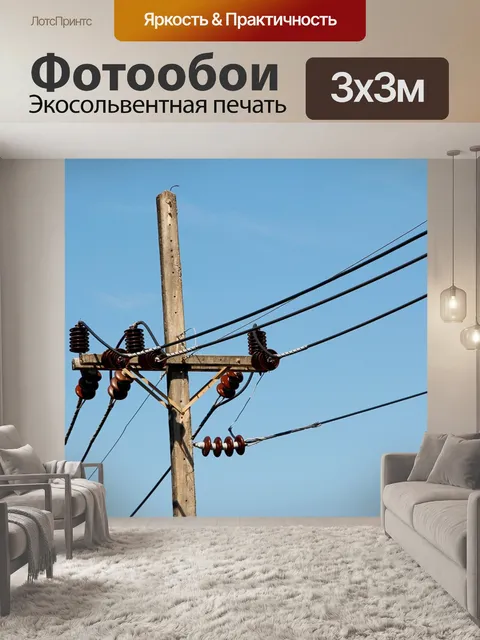 Фотообои Полюс питания
